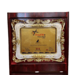 IMG_5345-removebg-preview