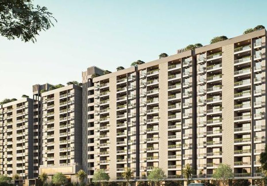 amelias_banner_01_1755513435